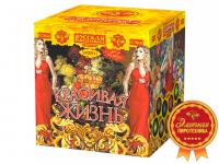 Красивая жизнь Фейерверк купить в Шилке | shilka.salutsklad.ru