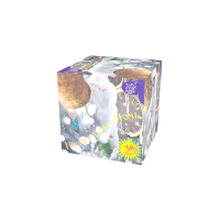 Новогодняя ночь Салют купить в Шилке | shilka.salutsklad.ru