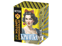 Красотка Батарея салютов купить в Шилке | shilka.salutsklad.ru