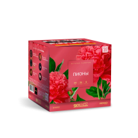 Пионы Салют купить в Шилке | shilka.salutsklad.ru
