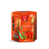 Тюльпаны Салют купить в Шилке | shilka.salutsklad.ru