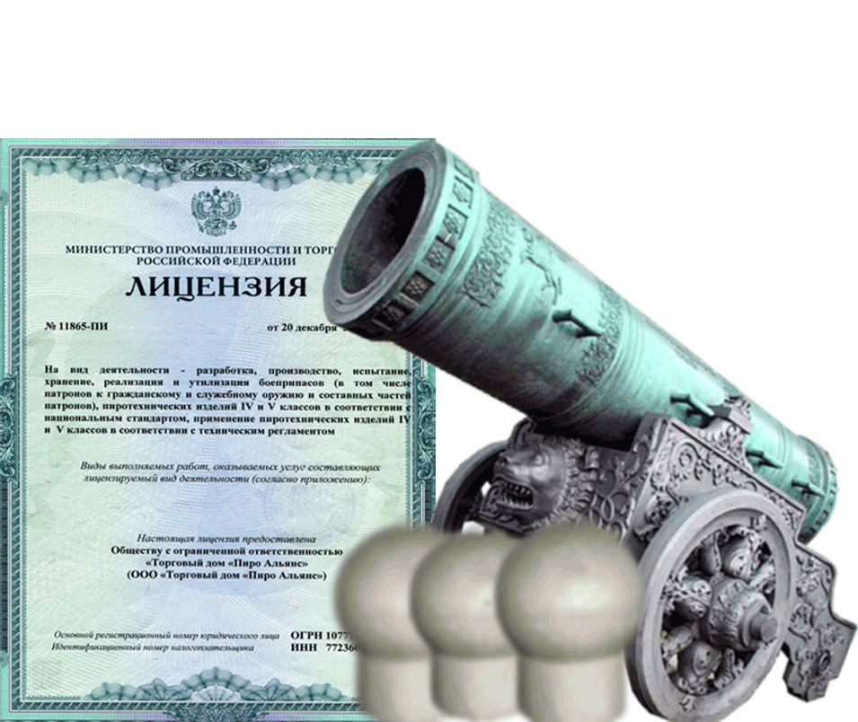 Заказать фейерверк на Новый Год - салют в Шилке