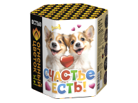 Счастье есть! Салют купить в Шилке | shilka.salutsklad.ru