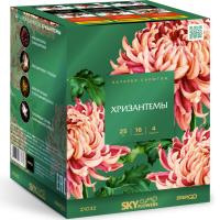 Хризантемы Фейерверк купить в Шилке | shilka.salutsklad.ru