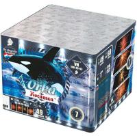 Косатка Фейерверк купить в Шилке | shilka.salutsklad.ru