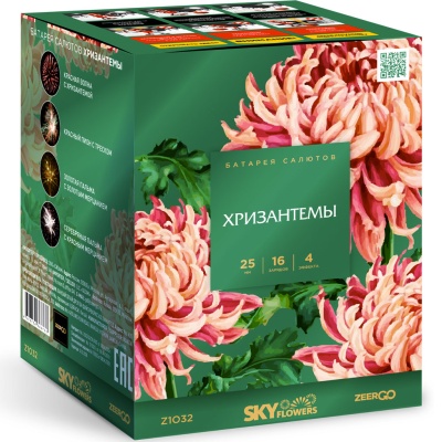 Хризантемы Фейерверк купить в Шилке | shilka.salutsklad.ru